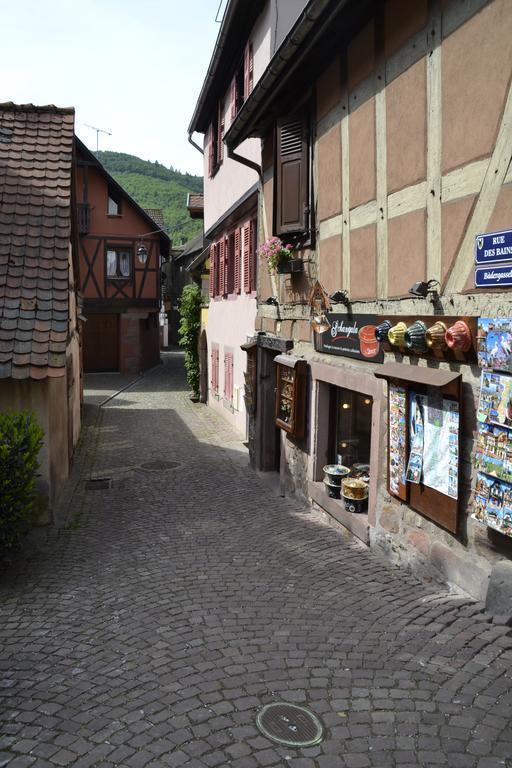 Gites Du Stekala Kaysersberg-Vignoble Room photo